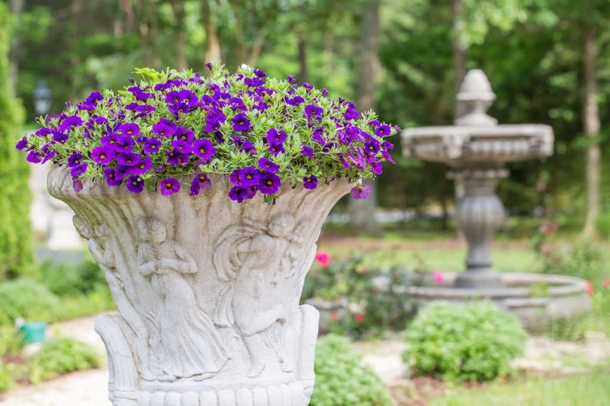 Rosewood Manor Bed & Breakfast Port Tobacco Bagian luar foto